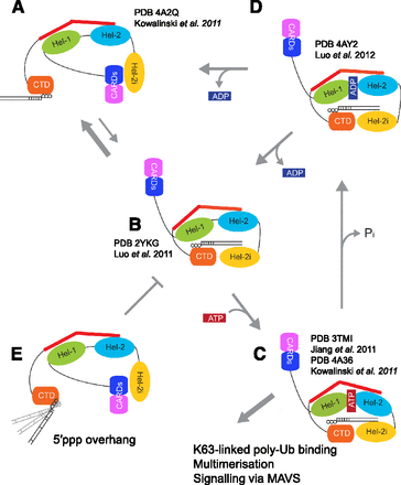 FIGURE 5.