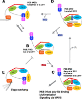 FIGURE 5.