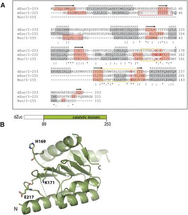 FIGURE 1.
