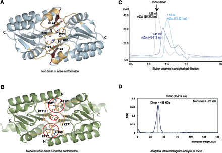 FIGURE 2.