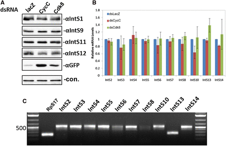 FIGURE 3.