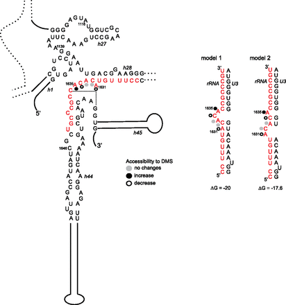 FIGURE 6.