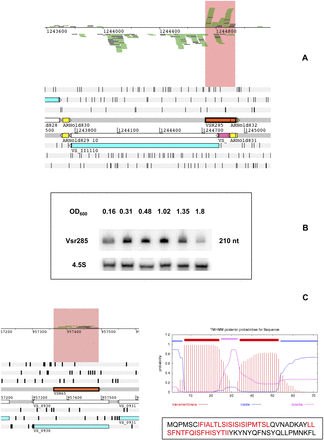 FIGURE 7.