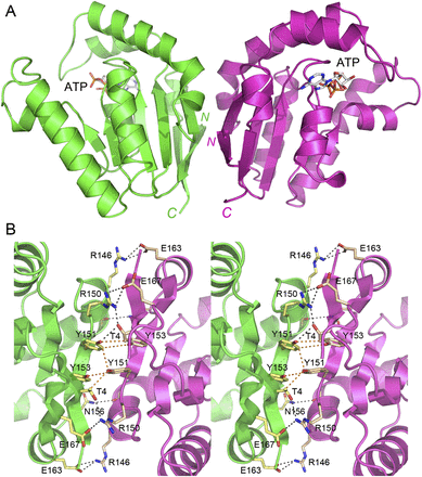 FIGURE 3.