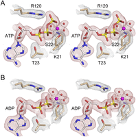 FIGURE 4.