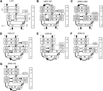 FIGURE 11.