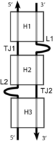 FIGURE 3.