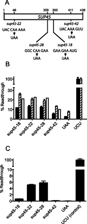 FIGURE 2.
