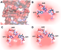 FIGURE 4.