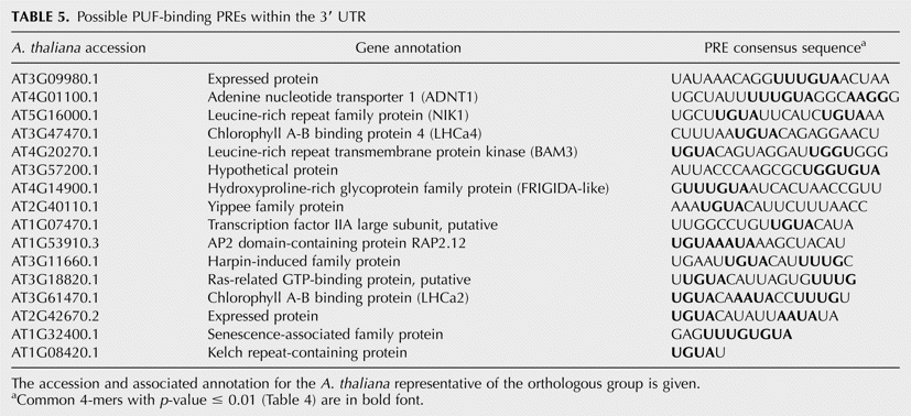 TABLE 5.