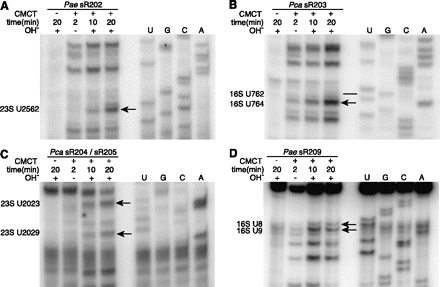 FIGURE 4.