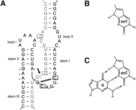 FIGURE 1.