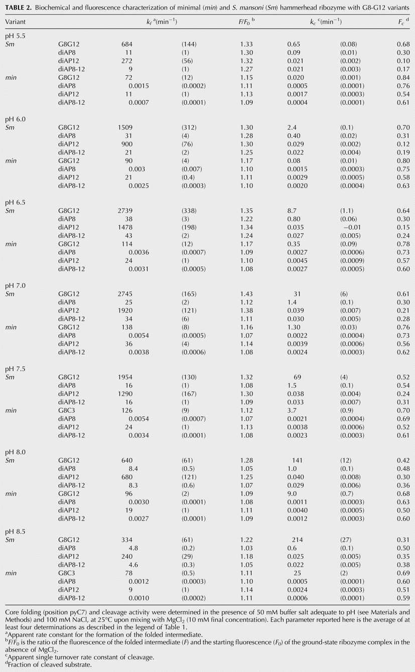 TABLE 2.