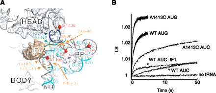 FIGURE 1.