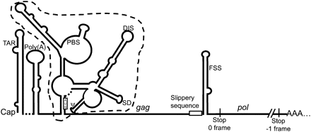 FIGURE 1.