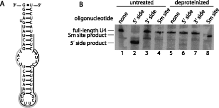 FIGURE 7.