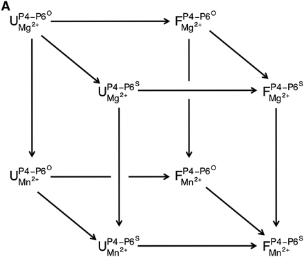 SCHEME 1A.