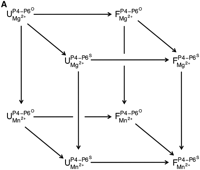 SCHEME 1A.