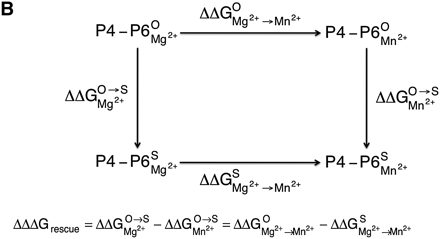 SCHEME 1B.