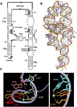 FIGURE 1.