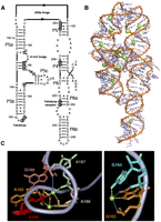 FIGURE 1.