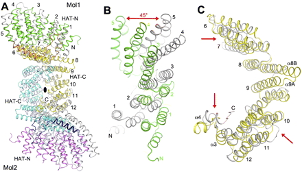 FIGURE 5.