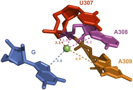 FIGURE 2.