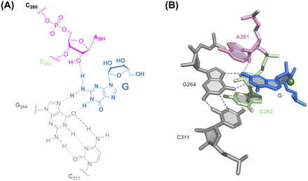 FIGURE 3.