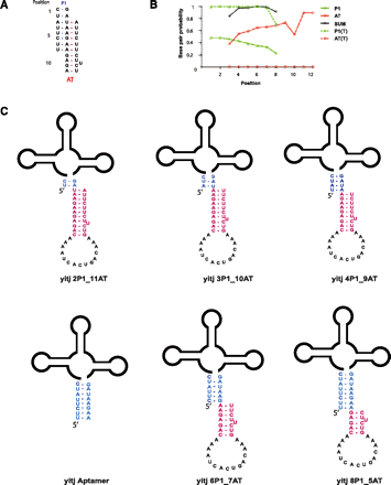FIGURE 2.