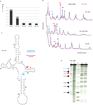 FIGURE 4.