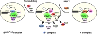 FIGURE 8.