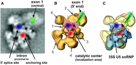 FIGURE 7.