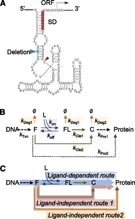 FIGURE 1.
