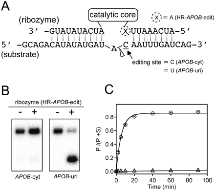 FIGURE 4.