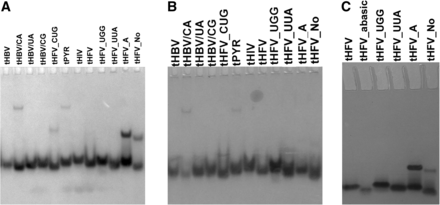 FIGURE 4.