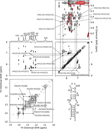 FIGURE 4.