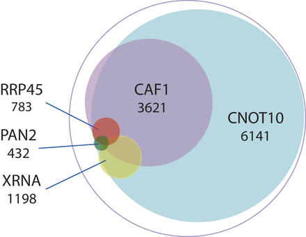 FIGURE 7.