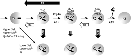 FIGURE 7.