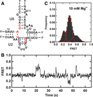 FIGURE 3.