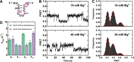 FIGURE 4.