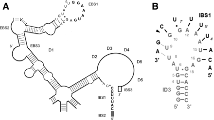 FIGURE 1.