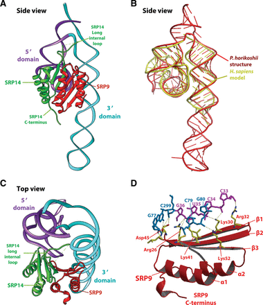 FIGURE 3.