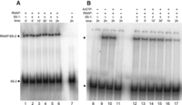 FIGURE 10.