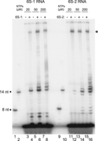 FIGURE 9.
