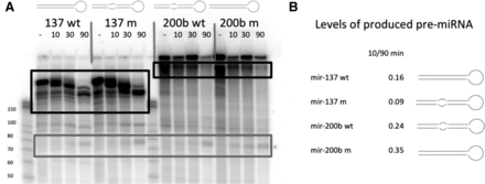 FIGURE 9.