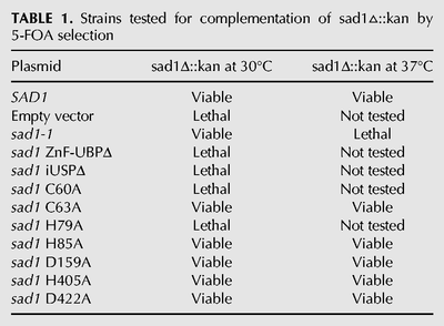 TABLE 1.