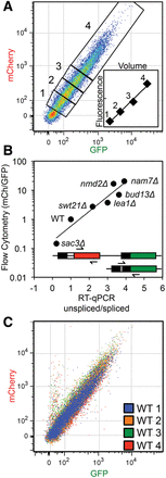 FIGURE 2.