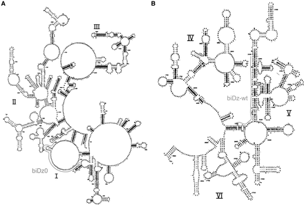 FIGURE 2.