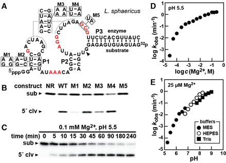 FIGURE 3.