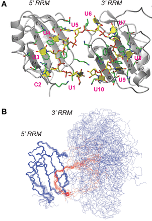FIGURE 3.